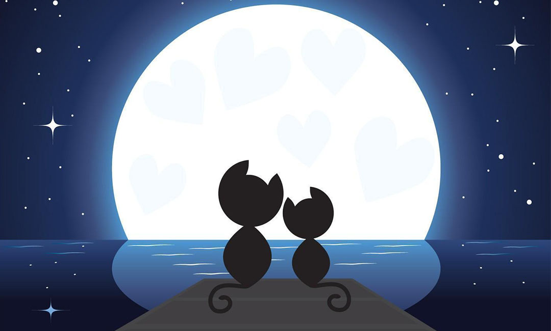 遂宁潮客汇微信活动策划案例