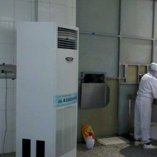 遂宁食品正负离子空气杀菌器